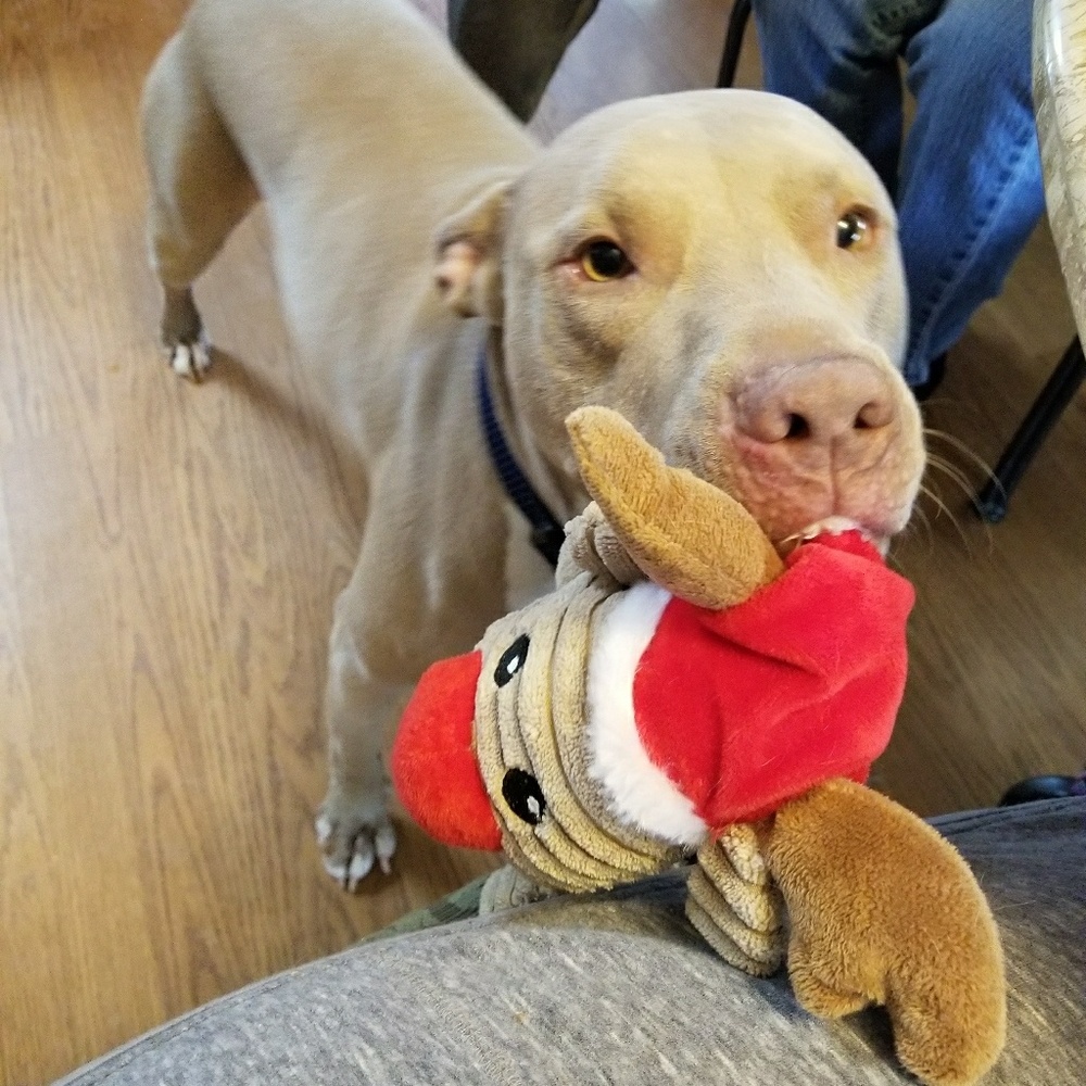 Posh Pit❤❤❤